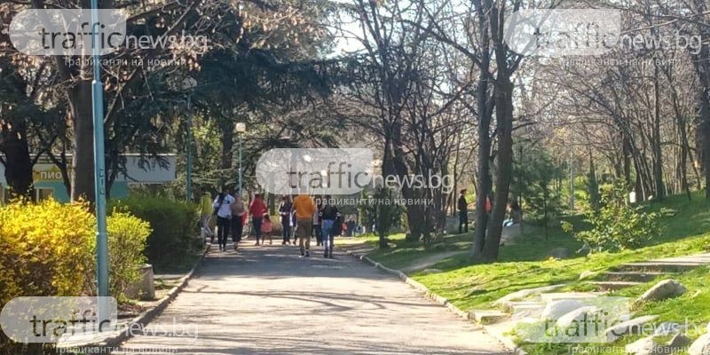 Предимно слънчево и до 24 градуса в Пловдив днес