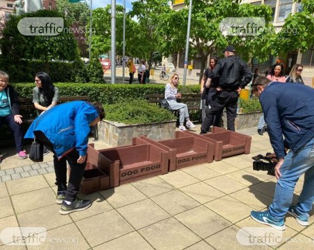 Протест в Кричим! Граждани купиха храна за кучетата и котките в града