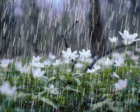 Любопитно за дъжда: Знаете ли какво съдържа една дъждовна капка?