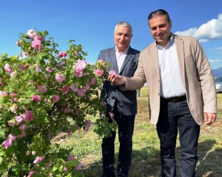 Зам.-министър Неделков в Карлово: Работим по варианти за подкрепа на розопроизводителите