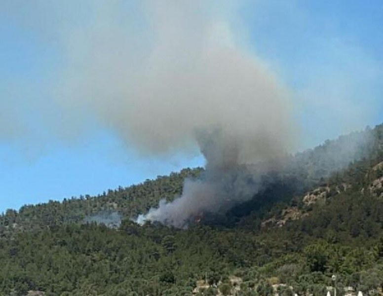Огромен горски пожар бушува в Турция
