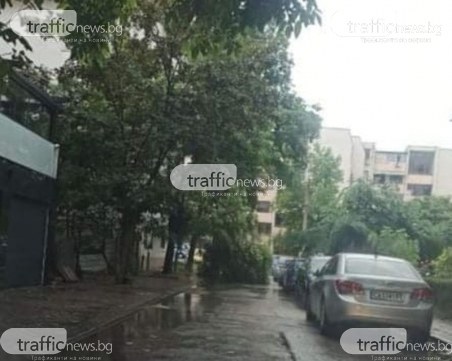 Клон се стовари върху автомобил, дъждът нанесе щети в Пловдив