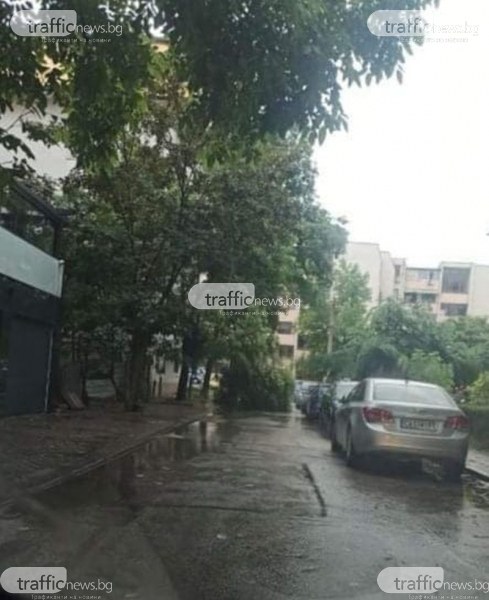 Клон се стовари върху автомобил, дъждът нанесе щети в Пловдив