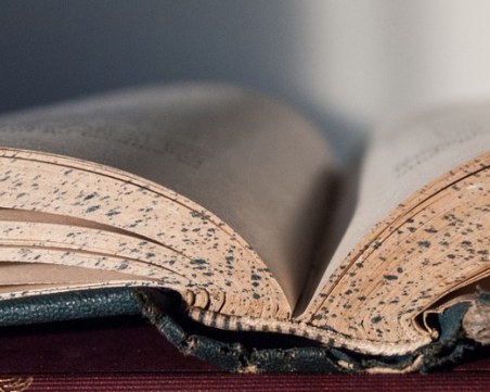 Включиха емоджи, влогър и блокчейн в речник на новите думи в българския език