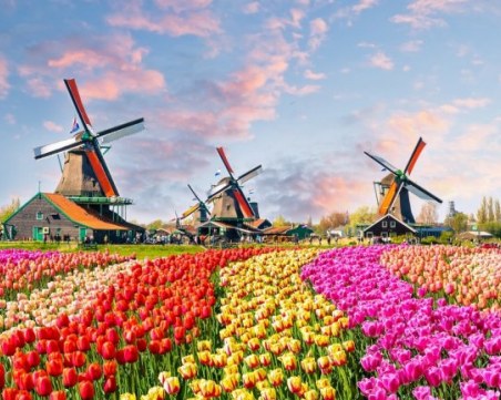 Пътуваме без PCR тест до Нидерландия, карантината също отпада