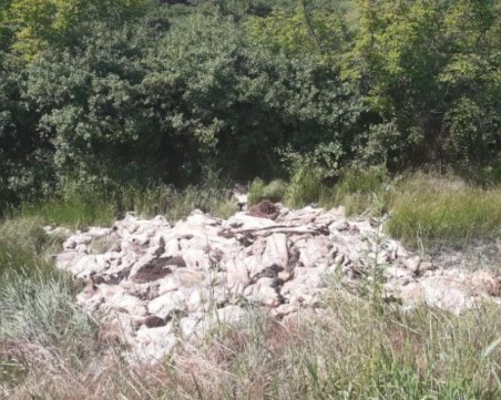 Сметище от прясно одрани кожи край шосе потресе шофьори в Първомайско