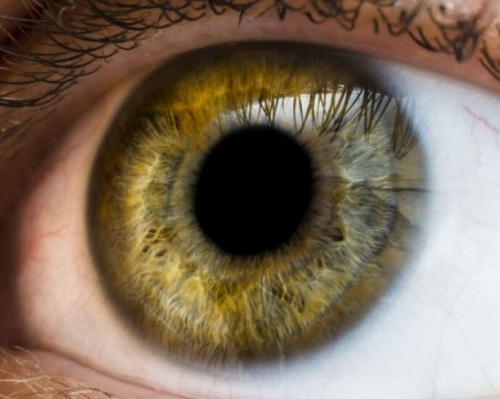 Учени: Размерът на зениците издава интелекта