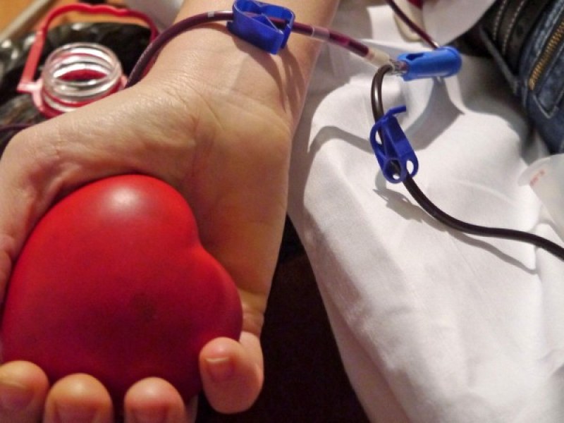 Община Пловдив кани гражданите да се включат в кръводарителска акция