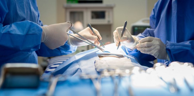 Предлагат спешни мерки срещу пререждането на чакащите за трансплантация