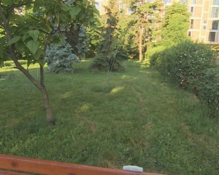 Пълен абсурд: Глобиха граждани, засадили цветя в парк