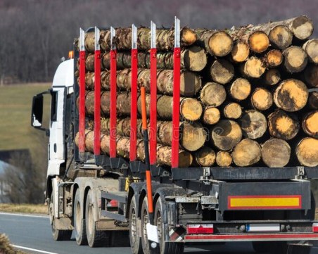 Горски инспектори от Пловдив пипнаха два камиона незаконна дървесина