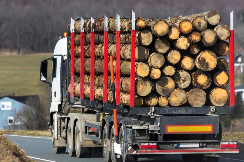Горски инспектори от Пловдив пипнаха два камиона незаконна дървесина