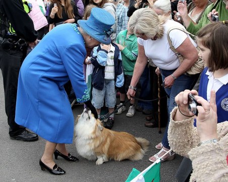 Кралица Елизабет II има ново кученце, подарено за 100-годишнината на покойния ѝ съпруг