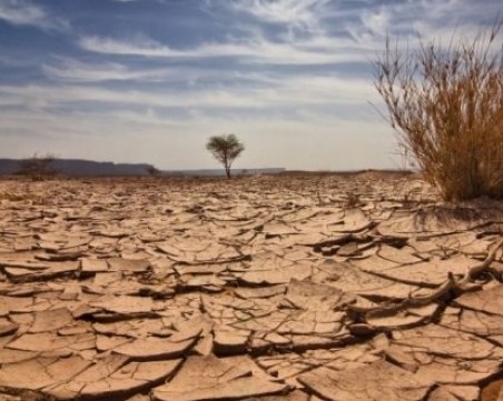 На този ден: Отбелязваме световния ден за борбата със сушата