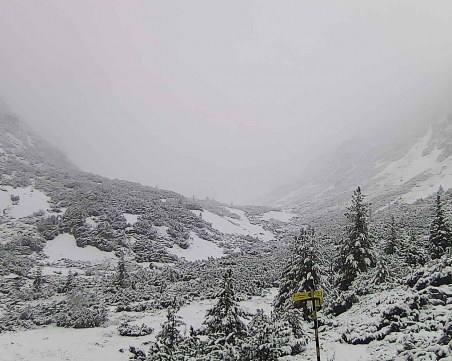 Снежна покривка на високите части на планините у нас