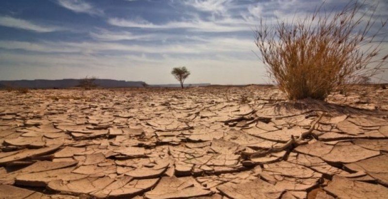 На този ден: Отбелязваме световния ден за борбата със сушата