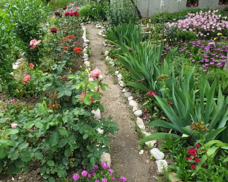 Първи отличен в конкурса 