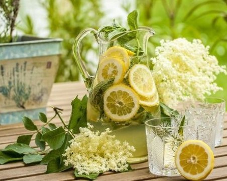 Лесна рецепта за сироп от бъз - хитова напитка за горещите дни