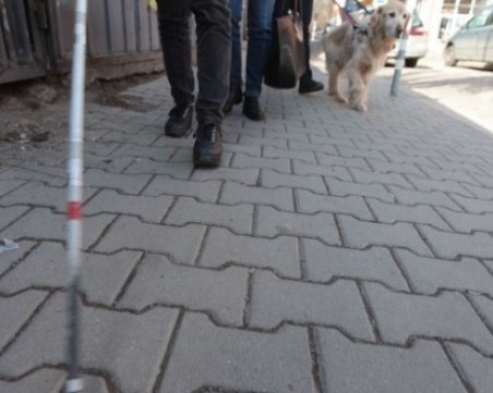 Незрящо момче с куче водач си намери дом с помощта на социалните мрежи