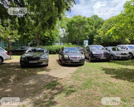 Бавно, но сигурно – поредната зелена площ в Пловдив изчезва под гумите на нарушители