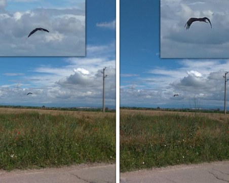 Рядък вид черен щъркел се появи в Пловдивско