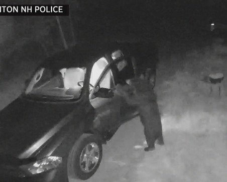 Мечка стана автоджамбаз: Нахлу в кола в Ню Хемпшир ВИДЕО