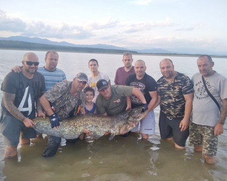 Спасиха 50-килограмов сом, хора от цяла България събраха 450 лв. за три часа