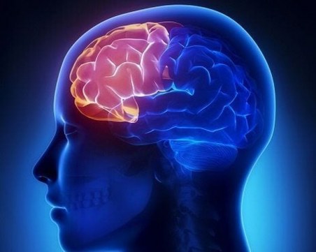 4 упражнения за бистър ум