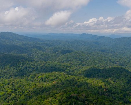 Габон стана първата африканска държава, получила пари за намаляване на въглеродните емисии