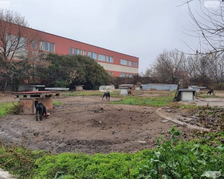 Какво се случва с разследването срещу развъдника за питбули на Иван Иванов?