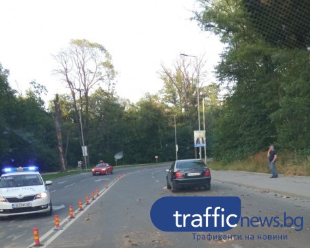 Сухо дърво се стовари върху кола на възлова улица в 