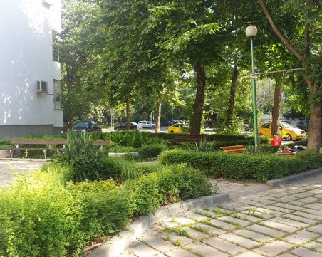 На Еньовден връчиха нови награди от 