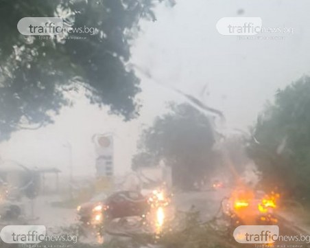 30 сигнала до 112 в Пазарджишко след проливния дъжд