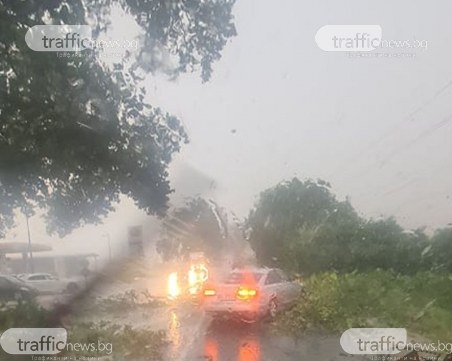 Паднали клони и дървета блокират пътя Пловдив-Пазарджик, шофьори опитват да разчистят