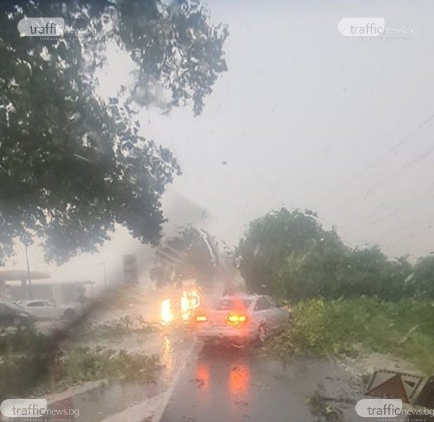 Паднали клони и дървета блокират пътя Пловдив-Пазарджик, шофьори опитват да разчистят
