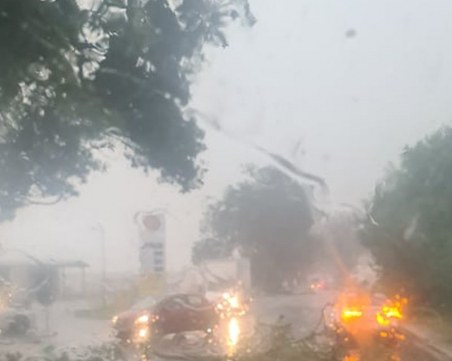 След силната буря: Пожарникари са отстранили десетки клони и дървета от пътя Пловдив-Пазарджик