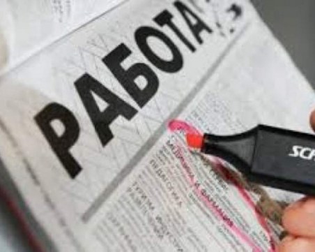 Търсите работа? Обявиха стотици свободни работни места в Пловдив и региона