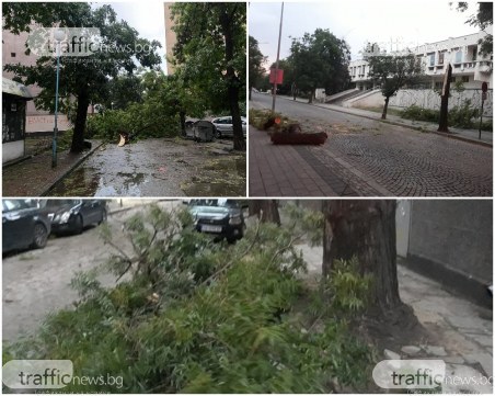 След бурята: Улици са блокирани, кабели - прекъснати, а коли са смазани