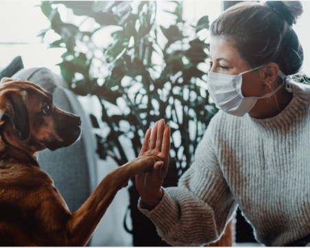 Учени: Ако сте с COVID-19, избягвайте контакт с кучето или котката си