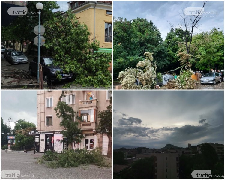 Буря удари Пловдив! Има смачкани коли и десетки паднали дървета