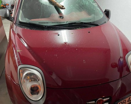 Клон прониза в 