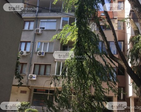 Счупен клон виси опасно върху жици в Кючука