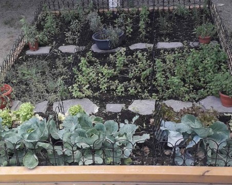 Билкова и зеленчукова градина замени пясъчник в ДГ 