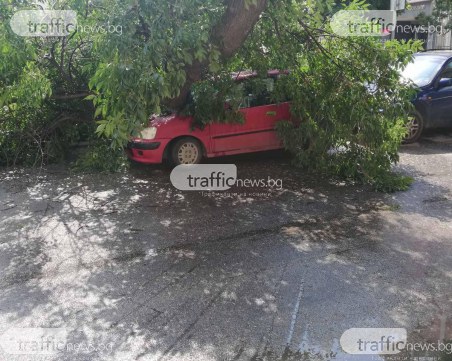 Отново! Кратката буря събори дърво върху кола в центъра на Пловдив