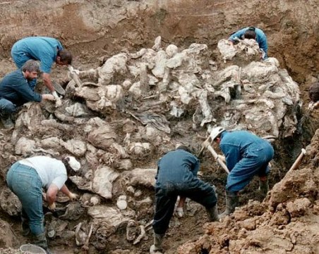 На този ден: Клането в Сребреница