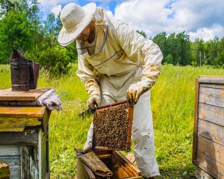 Пчеларите с празник днес! Има и именици