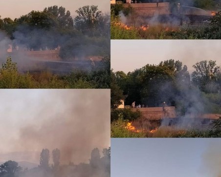 Пожар гори на Острова в Пазарджик