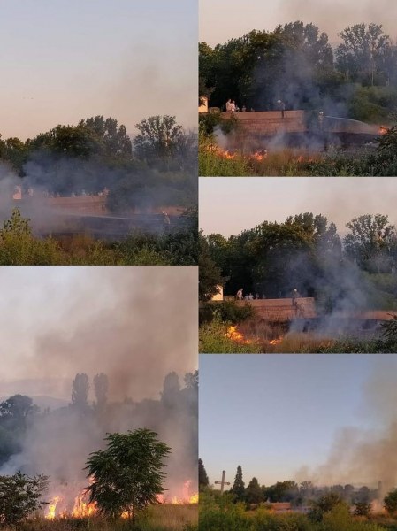 Пожар гори на Острова в Пазарджик