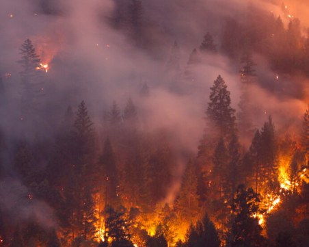 Огромен горски пожар край Солун, евакуират туристи от хотел