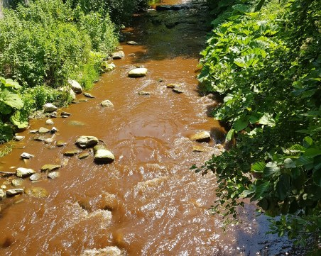 Река в Пловдивска област потече в кафяво, носи мъртва риба